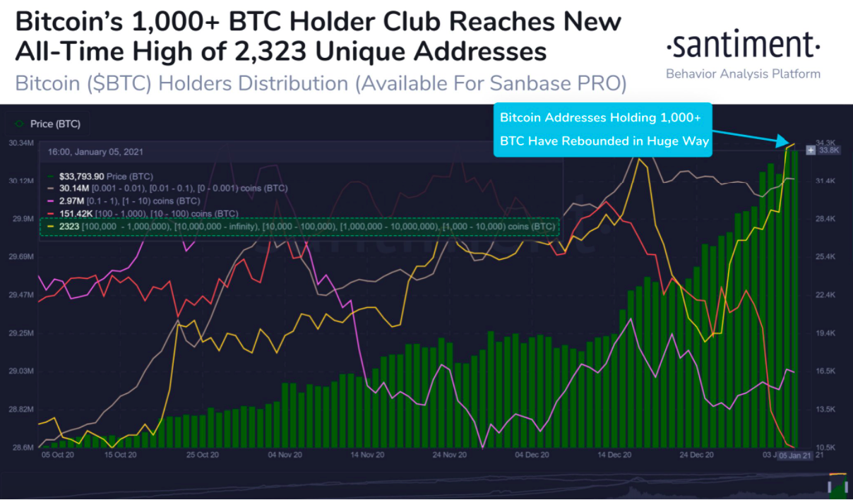 btc / usd santiment chart 010621