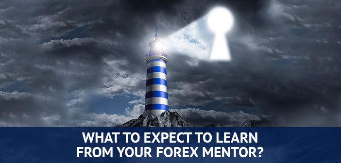 hvad du kan lære af din forex mentor
