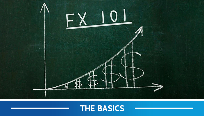 FX basics, hvordan man tjener penge på forex